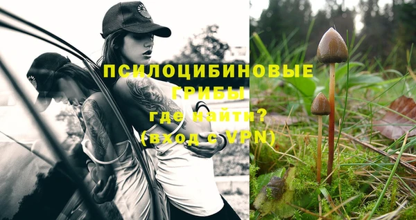 дурь Струнино
