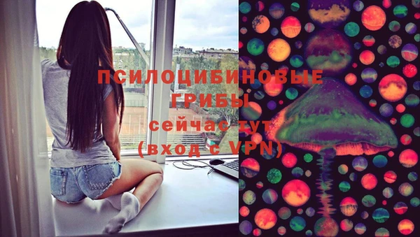 хмурый Зарайск