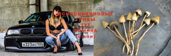 МДПВ Строитель