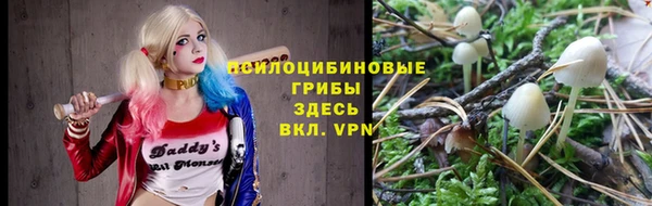 молекула духа Армянск