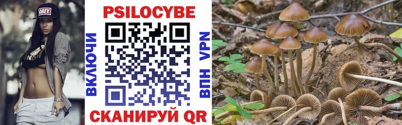 как найти наркотики  Асино  Галлюциногенные грибы Cubensis 